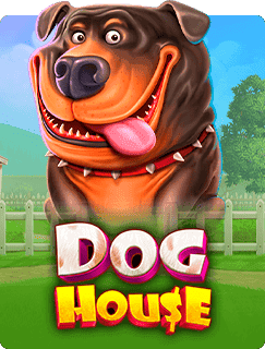 Speel Dog House bij Starcasino.nl