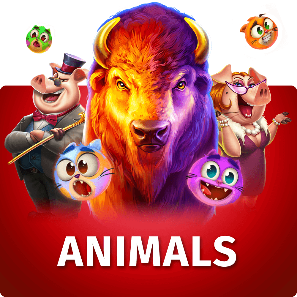 Play Animals games on Starcasino.nl